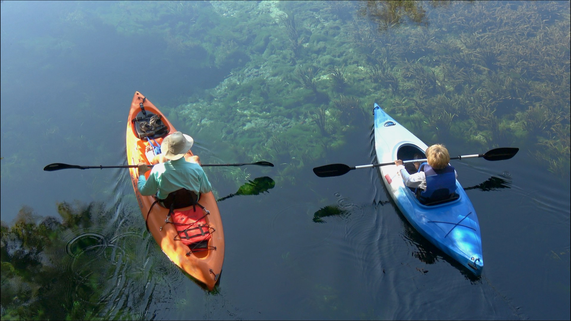 Deux kayakistes pagayant côte à côte sur une eau claire au-dessus d'herbiers verts.